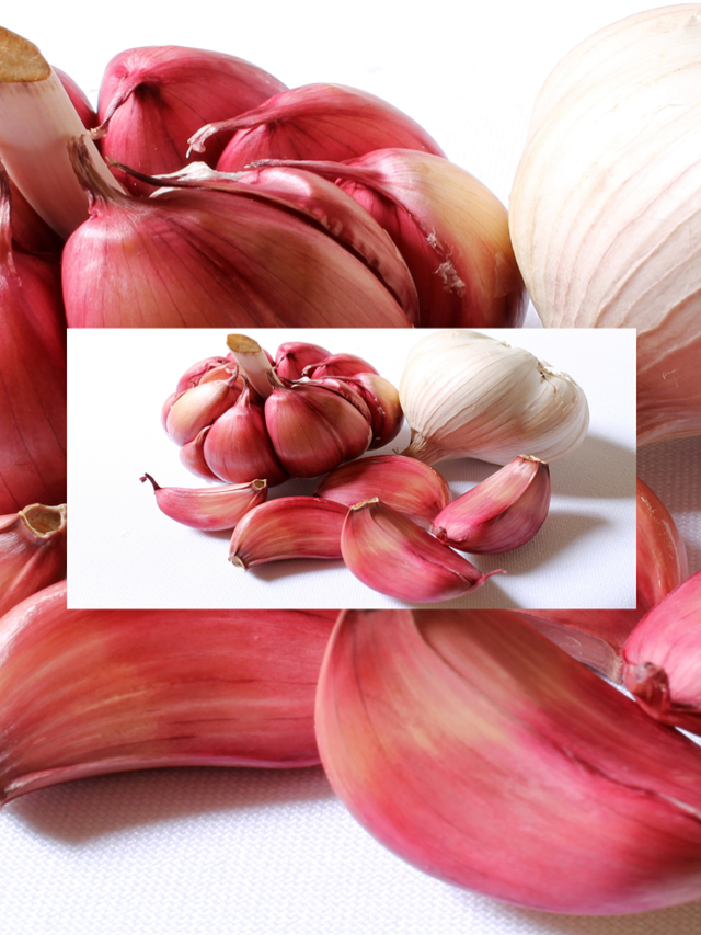 Garlic for Diabetes: A Natural Way to Manage Blood Sugar!